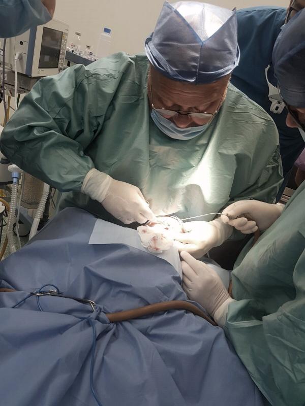 פעילות הומניטרית תמונה מקורית